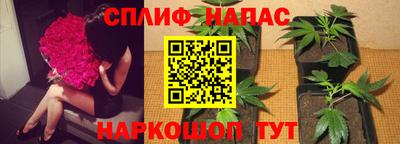 спиды Тула