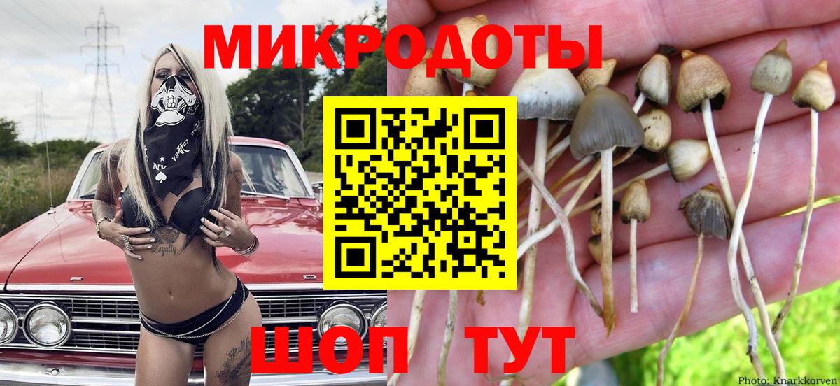 Псилоцибиновые грибы Magic Shrooms Белая Калитва